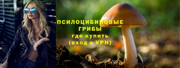 PSILOCYBIN Алзамай