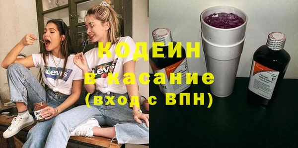 PSILOCYBIN Алзамай