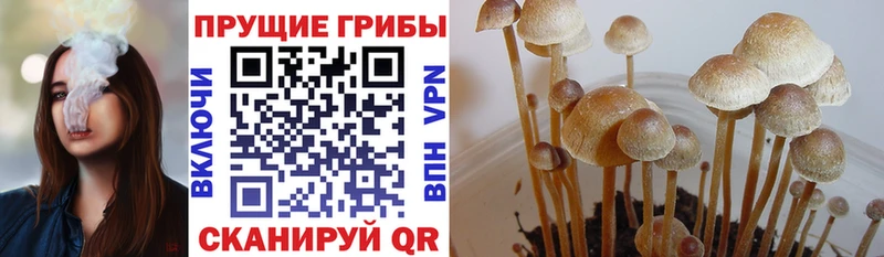Псилоцибиновые грибы ЛСД  что такое наркотик  Новочебоксарск 